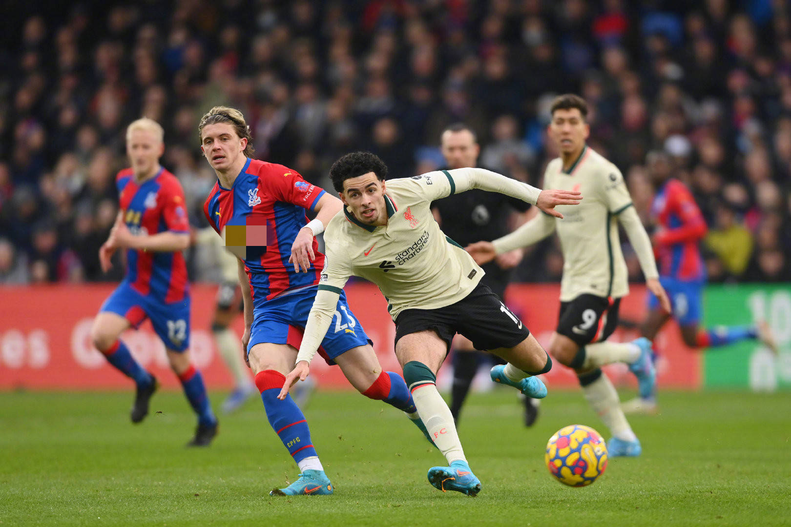 到访不仅让 到访不仅让